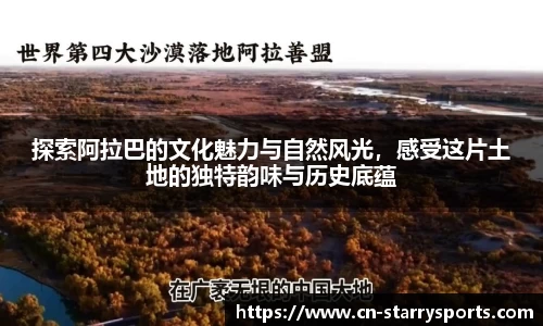 星空体育官方网站